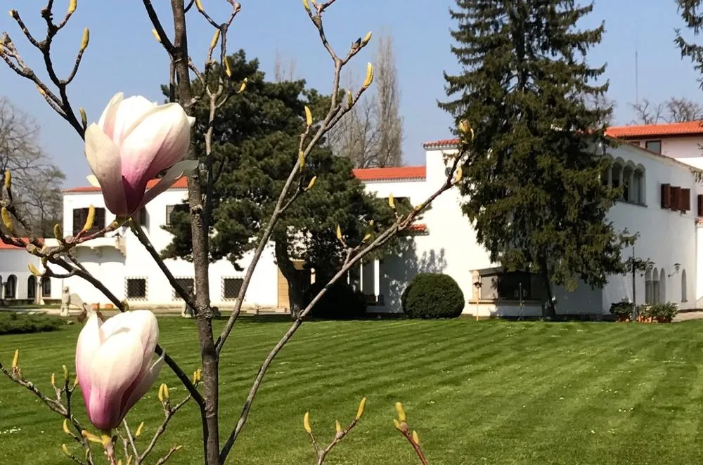 Gradina Palatului Mansion